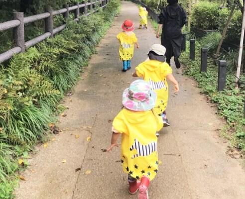 雨の日のお散歩