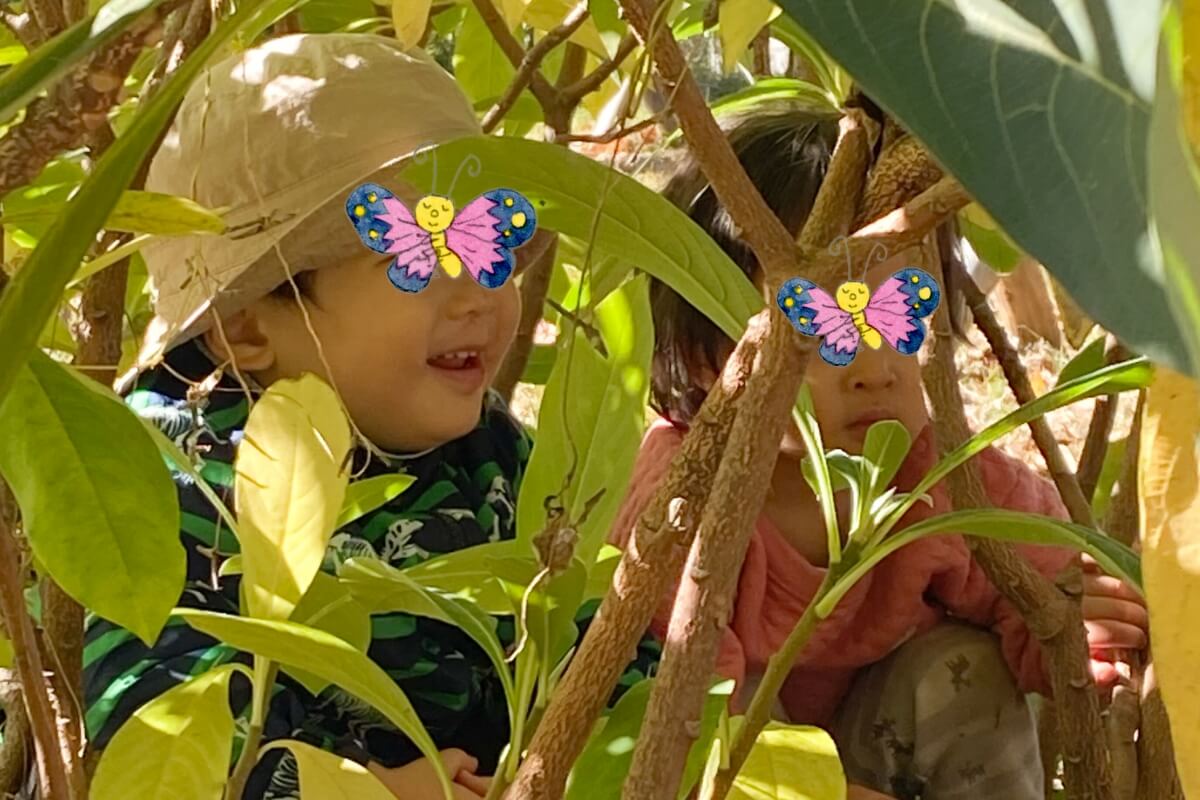 ららるー保育園の様子